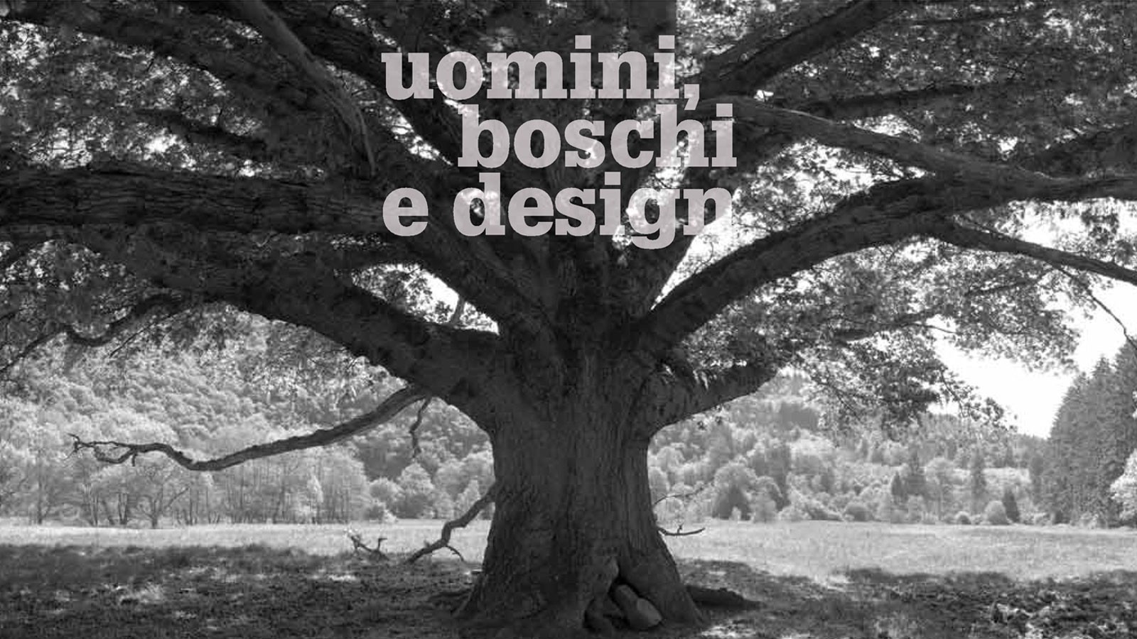 uomini boschi e design