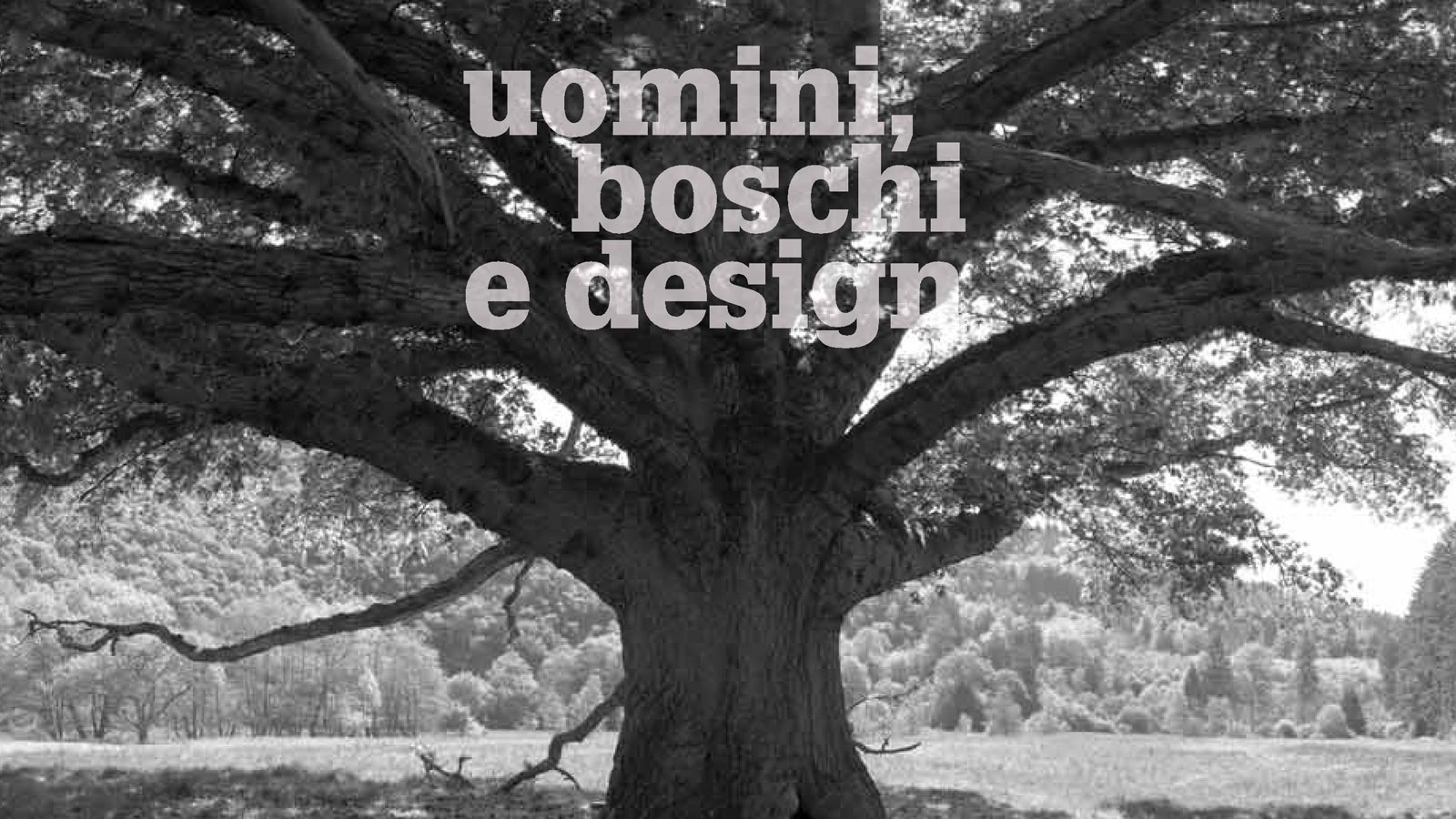 uomini boschi e design
